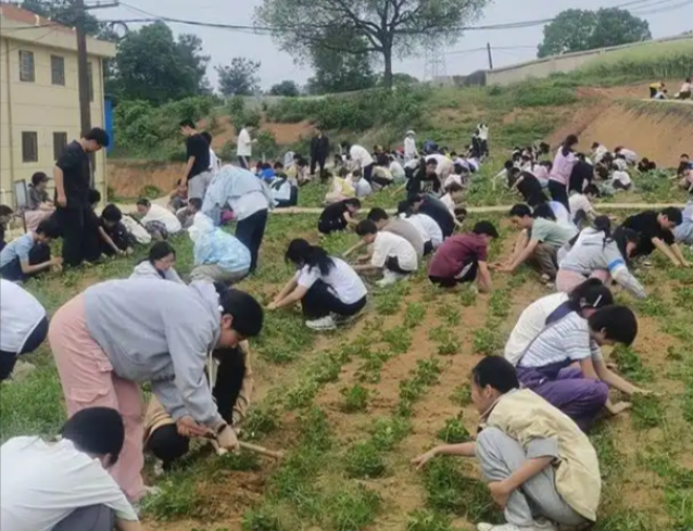 劳动教育在校园中稳步推进帮助学生成为适应时代合格人才 劳动教育在校园中稳步推进帮助学生成为适应时代合格人才